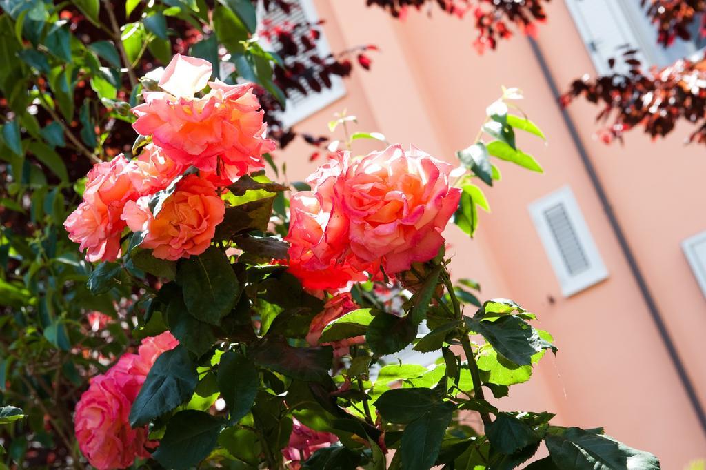 Hotel La Toscana Arezzo Exterior photo